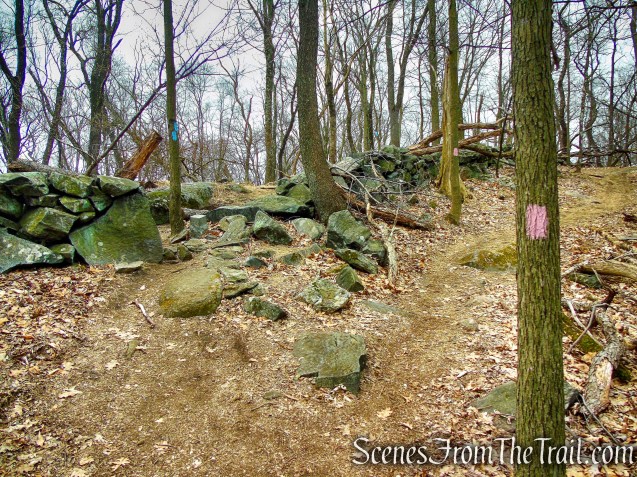Blue Trail - Taxter Ridge Park Preserve