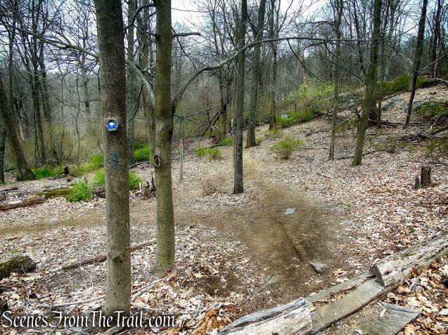 Blue Trail - Taxter Ridge Park Preserve