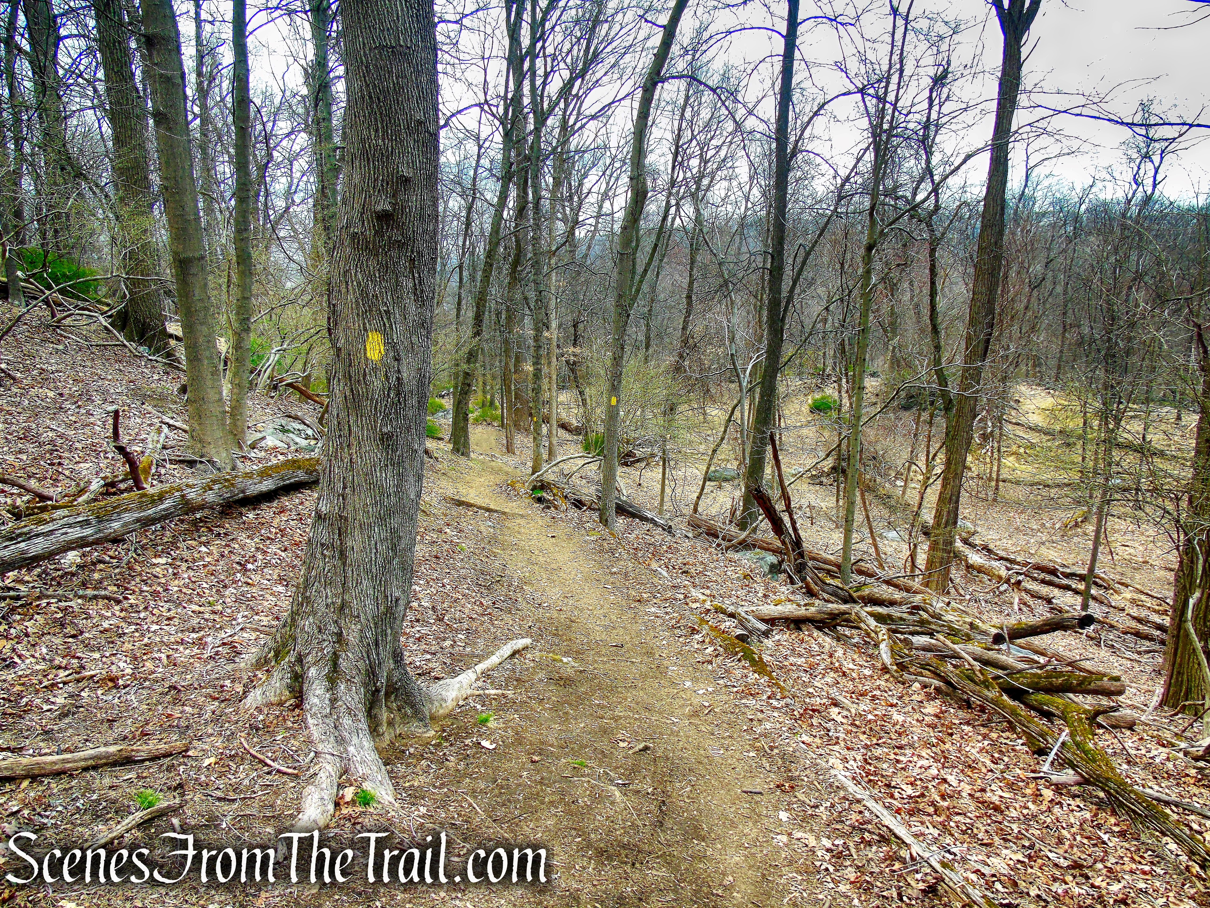 Yellow Trail - Taxter Ridge Park Preserve
