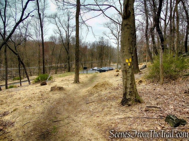 terminus of Yellow Trail - Taxter Ridge Park Preserve