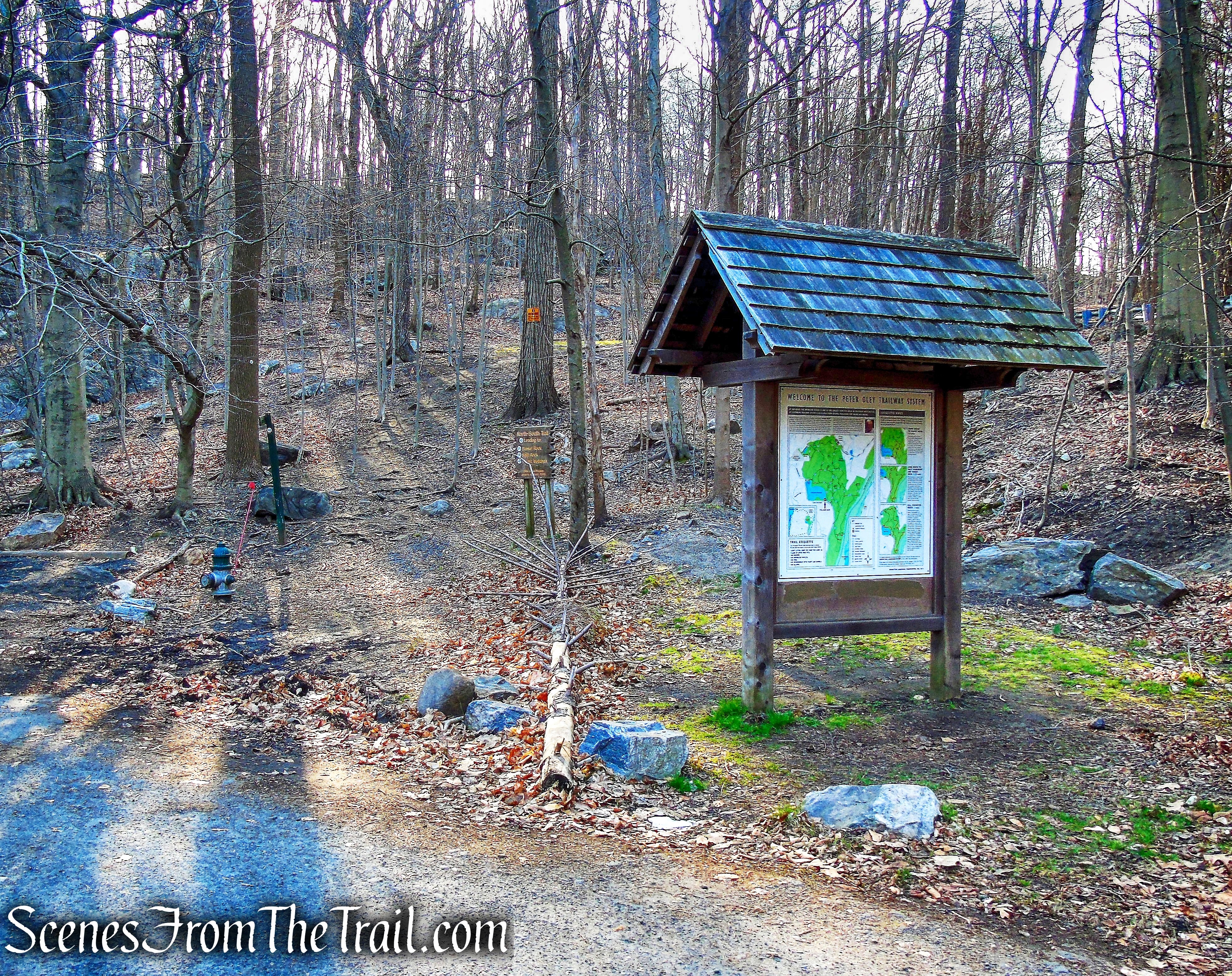 Cyrus Field Road Trailhead