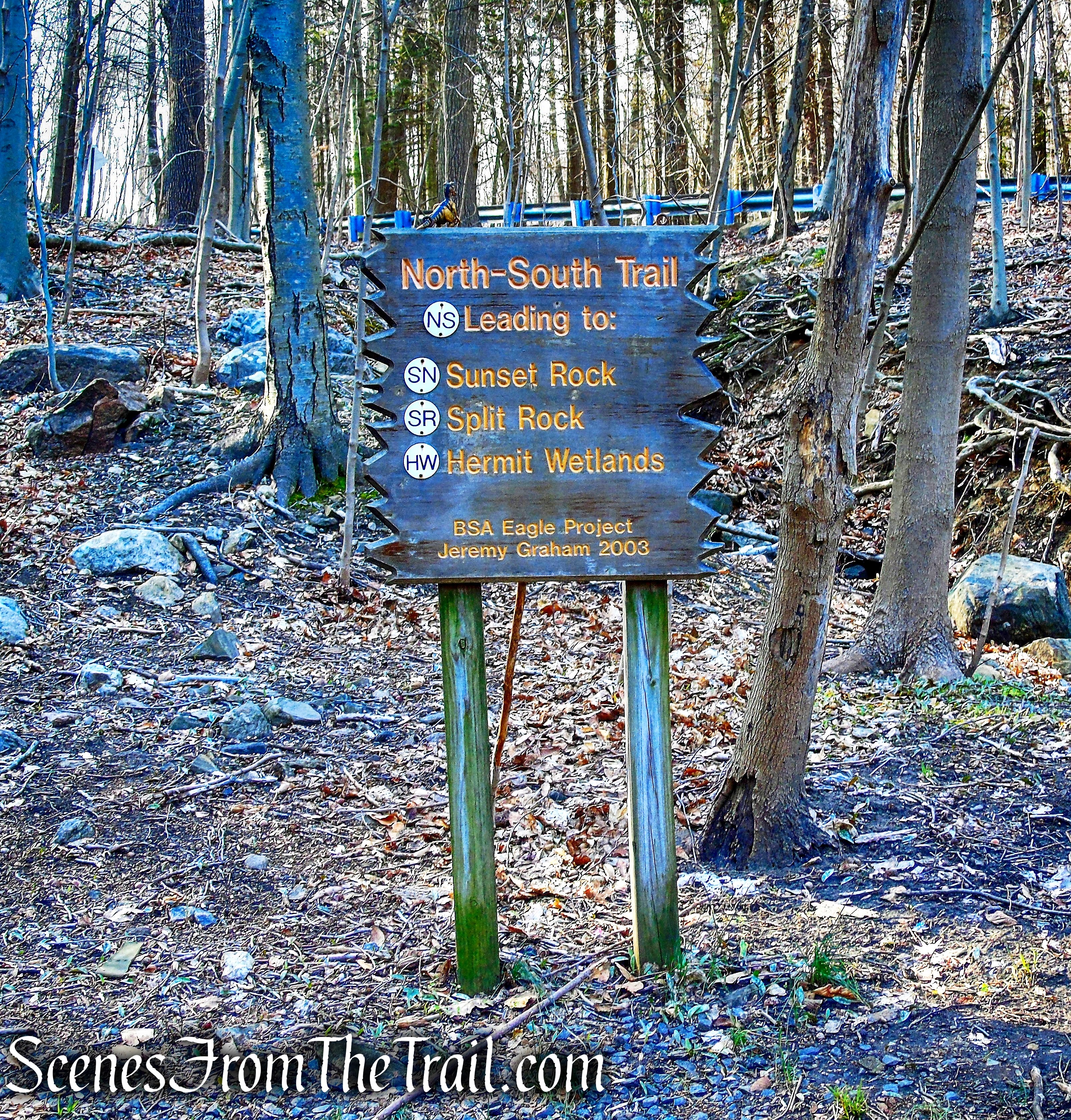 Cyrus Field Road Trailhead