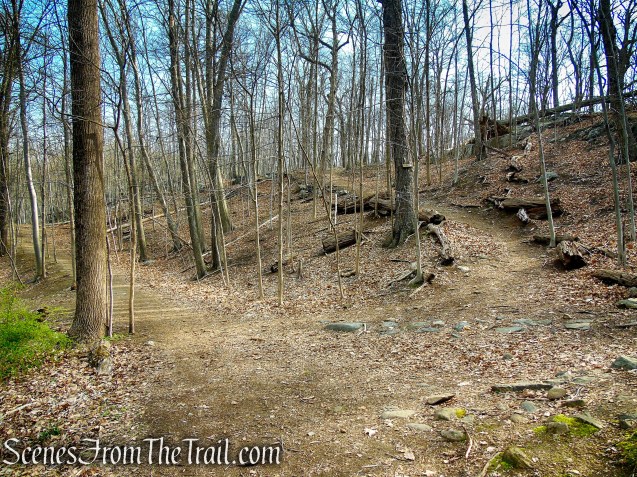 cross the road and take the SN Trail uphill