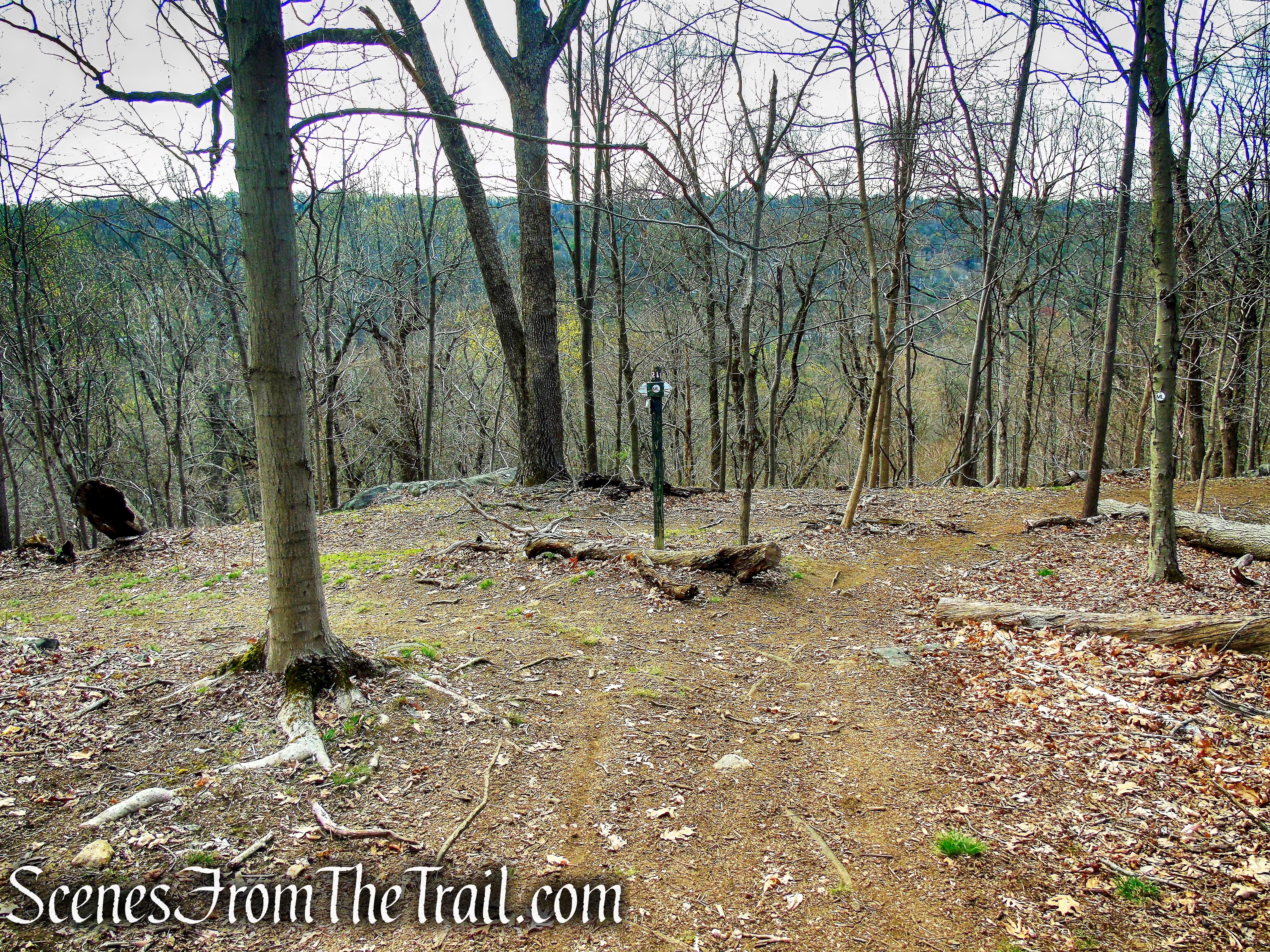 ML Trail – post #21