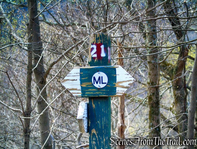 ML Trail – post #21
