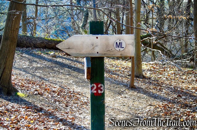 ML Trail - post #23