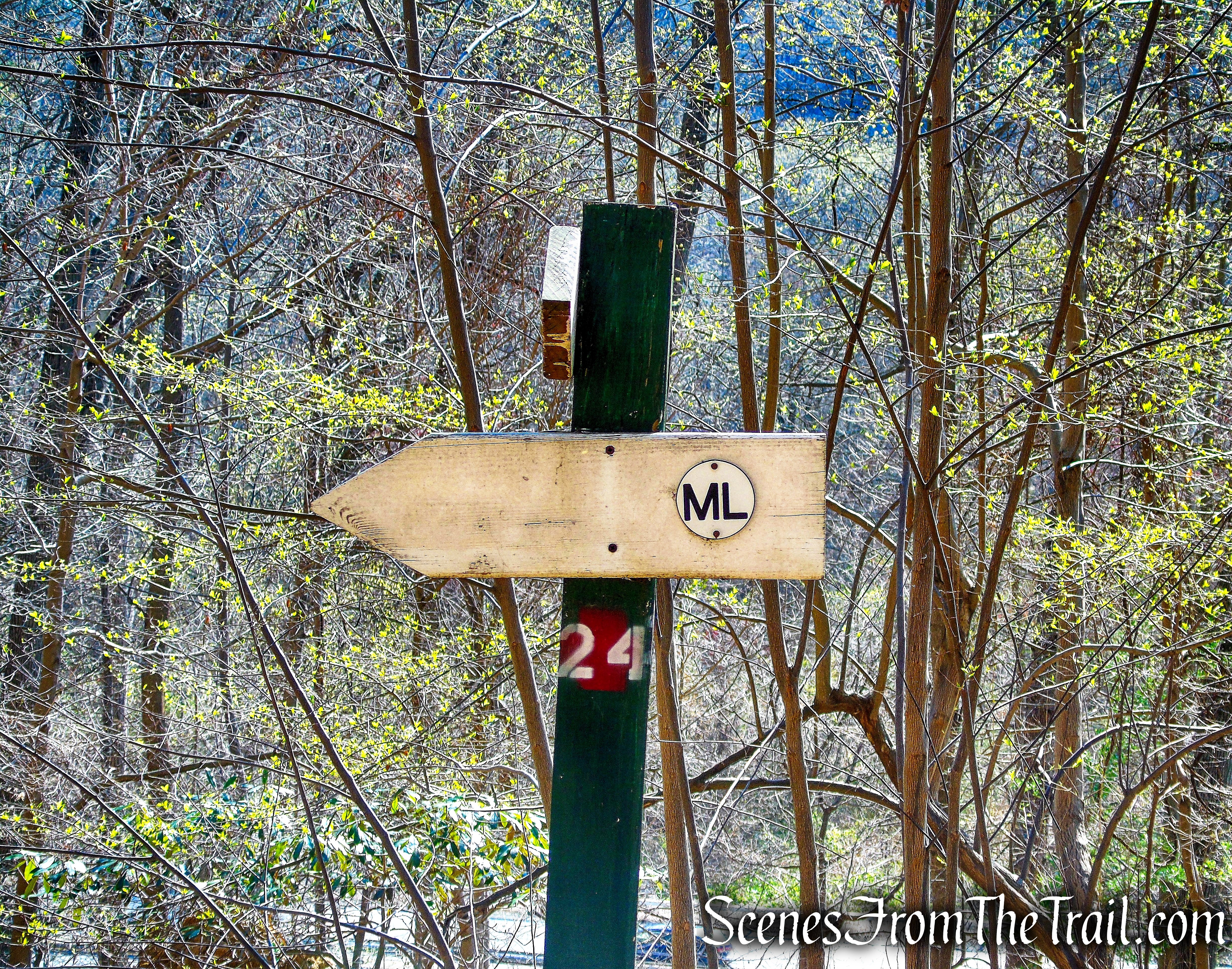ML Trail – post #24