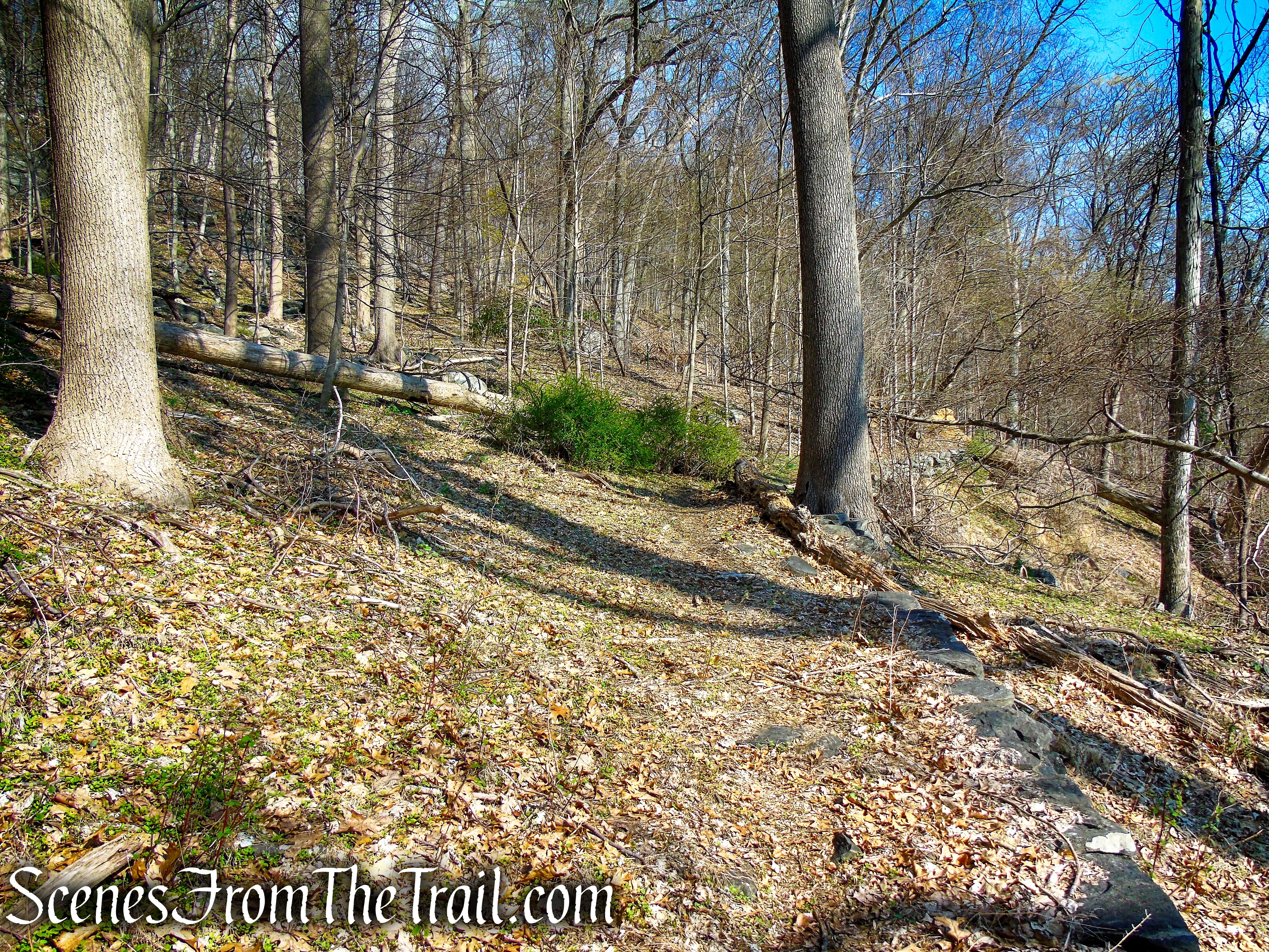 Macy Monument Trail - Irvington Woods