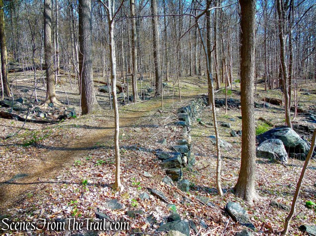ML Trail - Irvington Woods