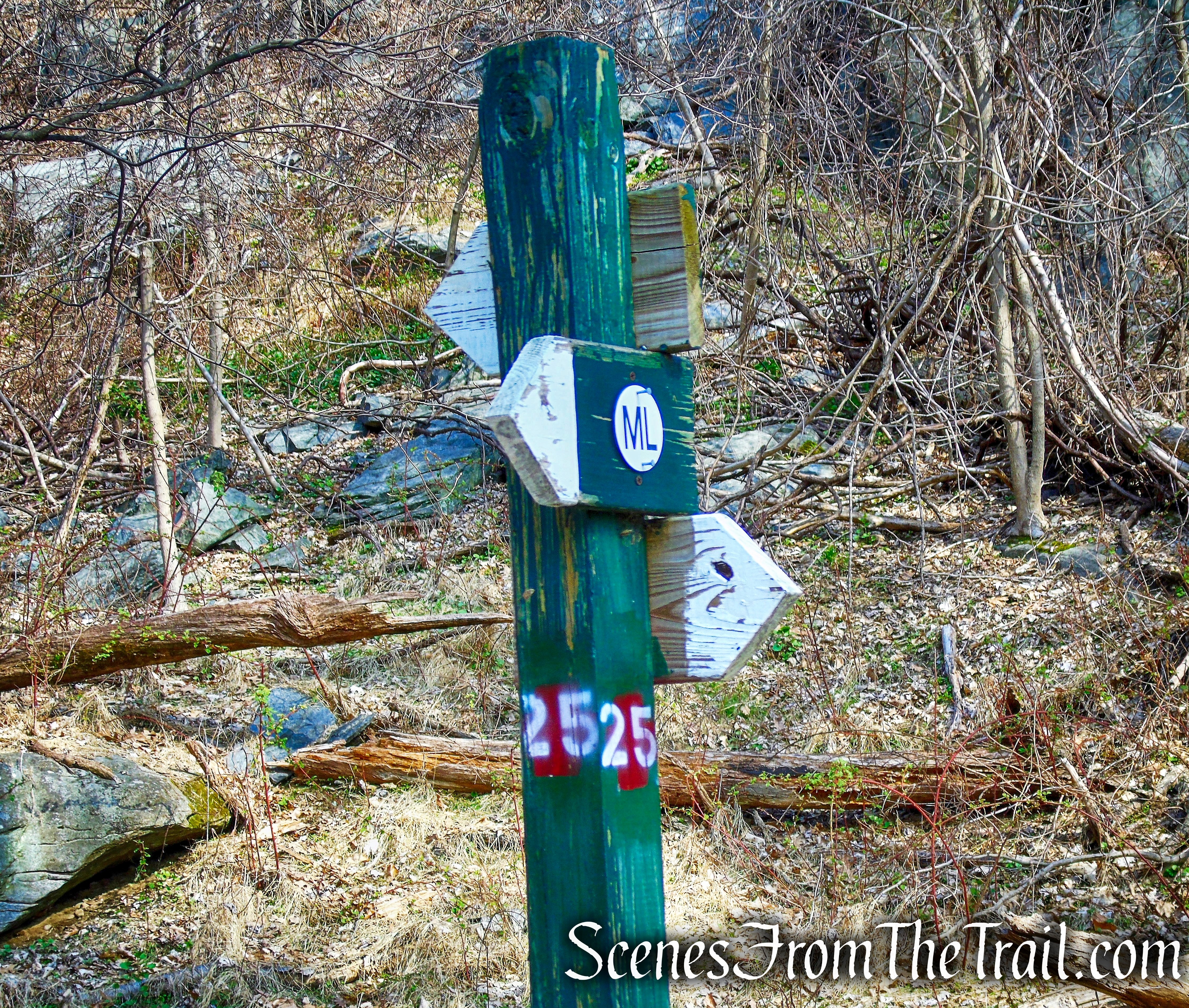 ML Trail – post #25