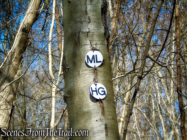 co-aligned Monument Loop/Hermit's Grave Trails