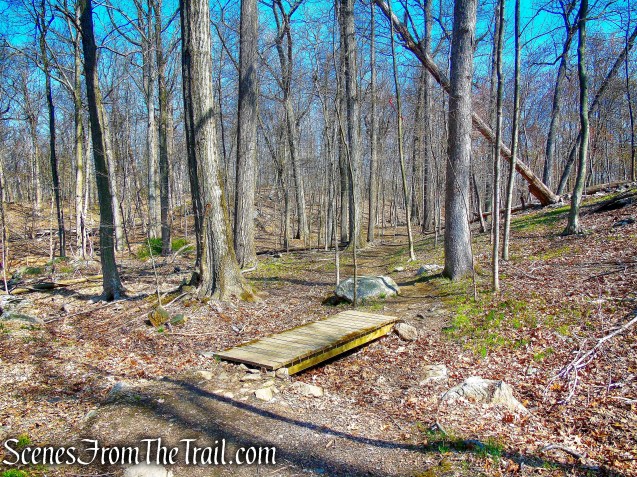 HG Trail - Irvington Woods