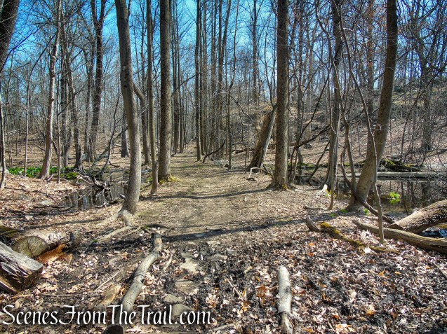 Hermit's Wetlands - Irvington Woods