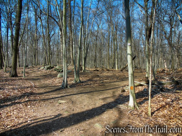 HW and NS Trails junction