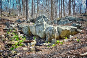 rock formation - Irvington Woods