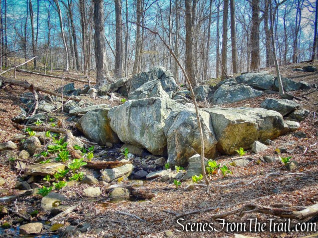 rock formation - Irvington Woods