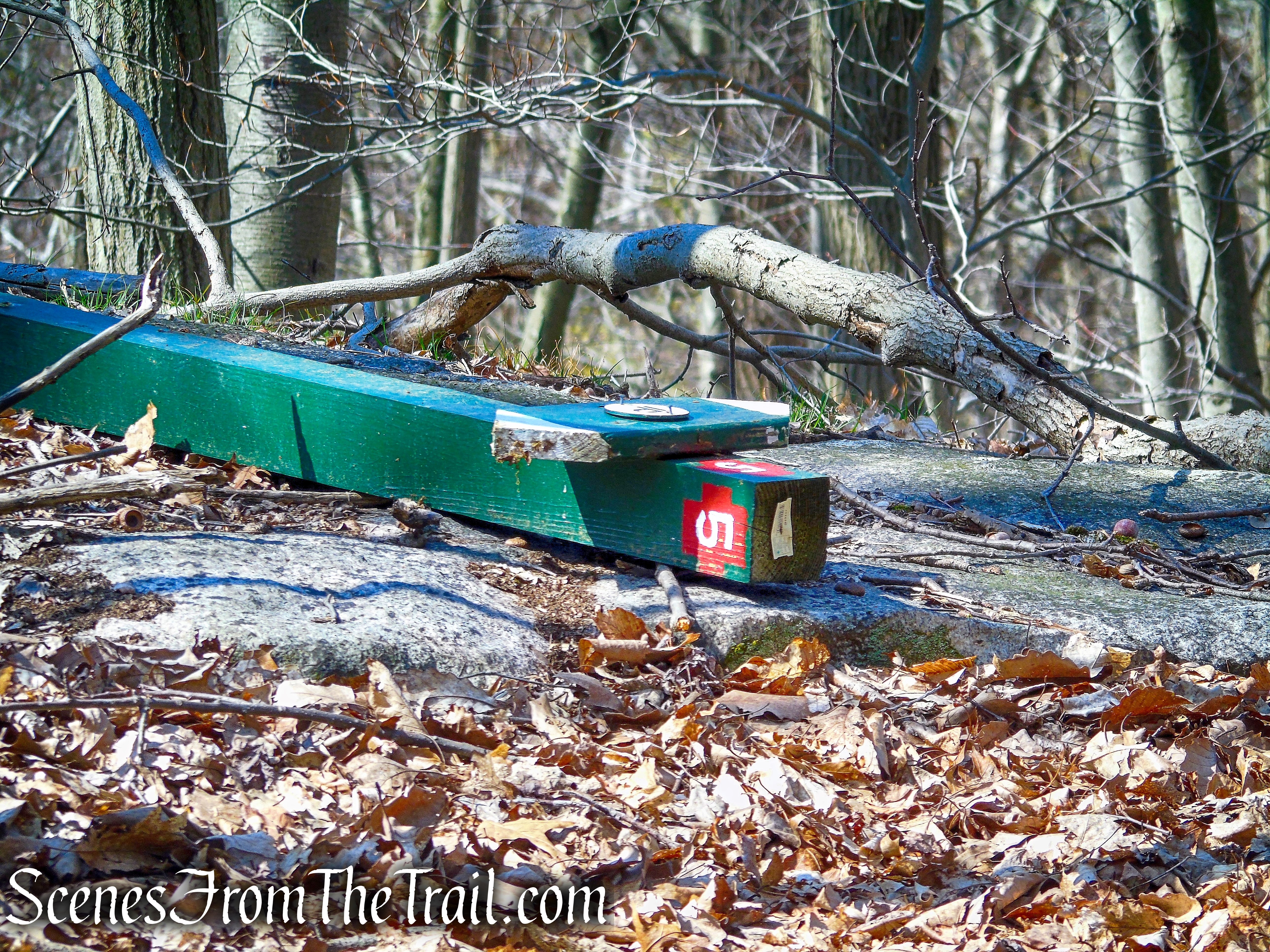 Irvington Woods Trails