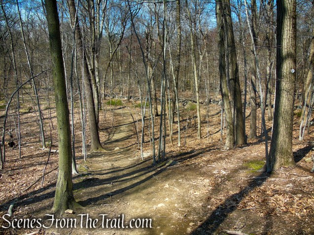 IP Trail - Irvington Woods