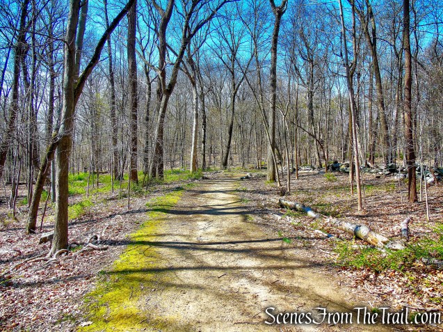 IP Trail - Irvington Woods