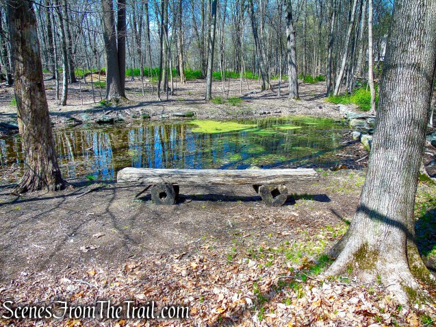 Ice Pond - Irvington Woods