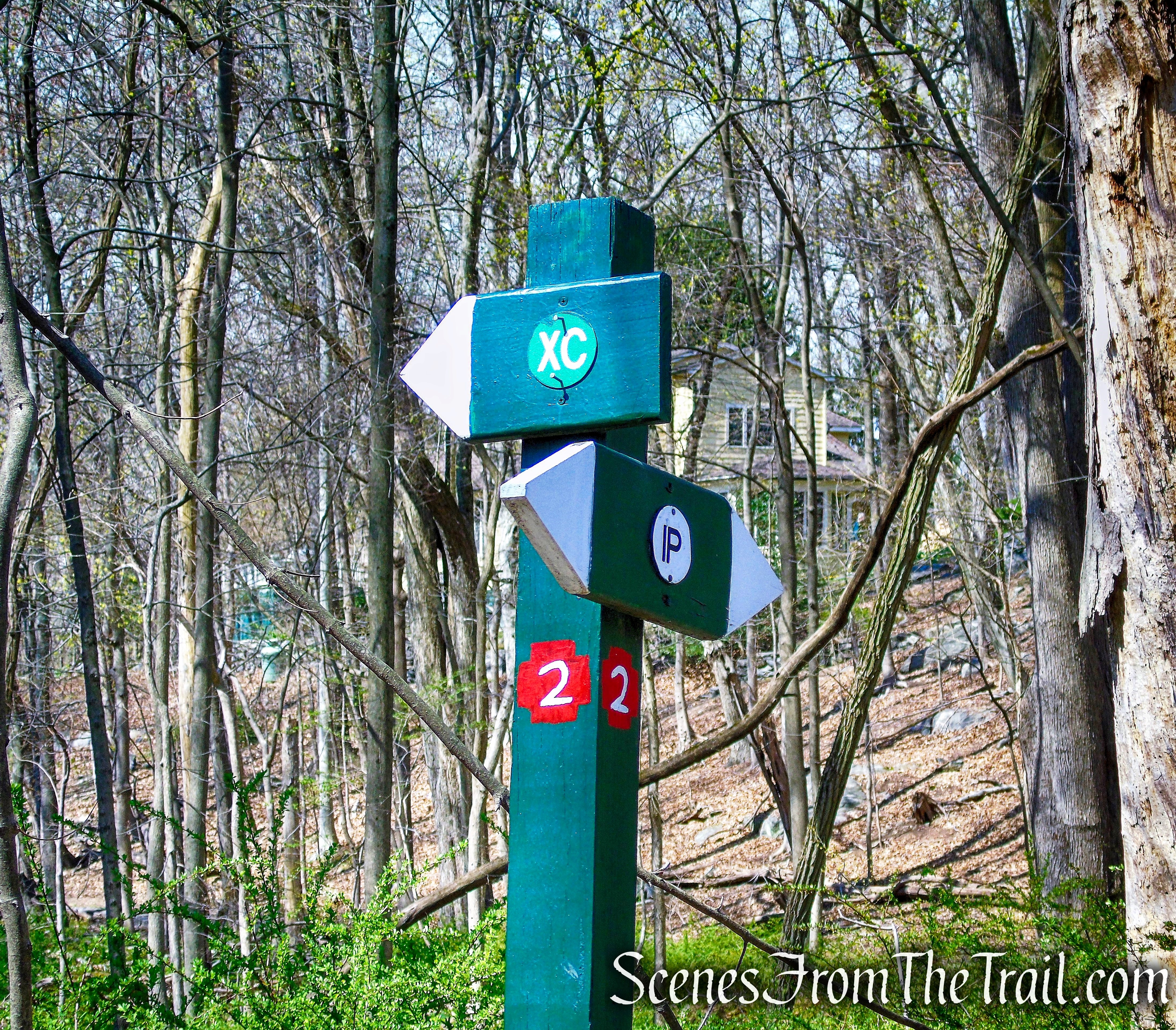 post #2 - Irvington Woods