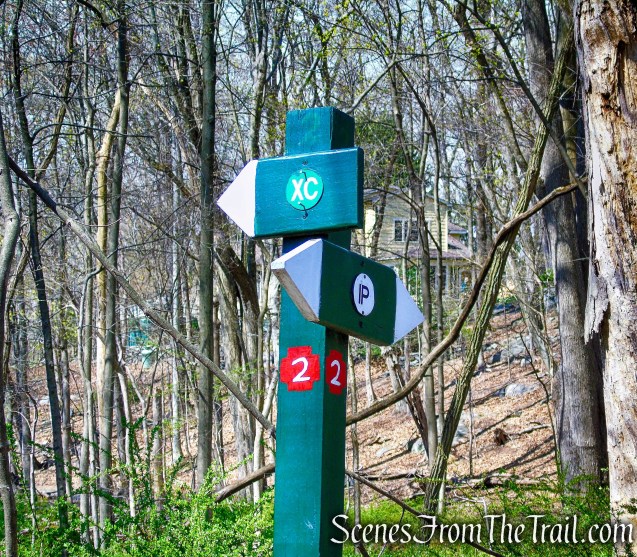 post #2 - Irvington Woods