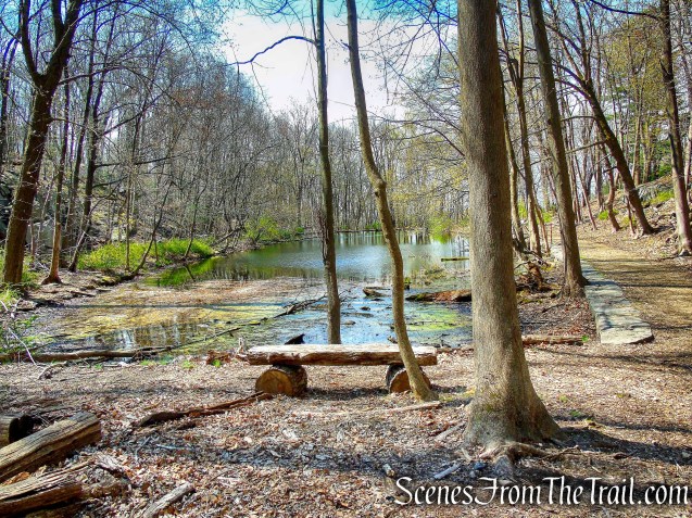Marshall Pond - Irvington Woods