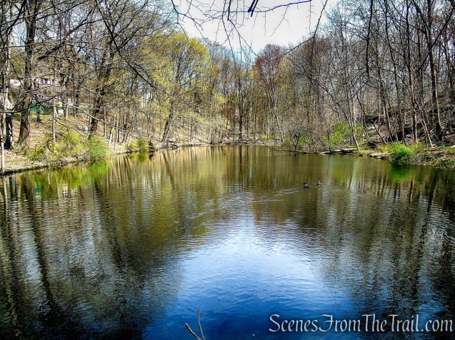 Marshall Pond - Irvington Woods