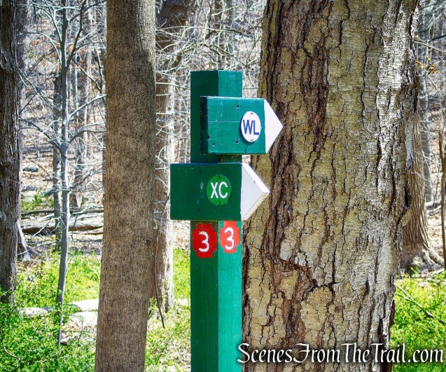 Irvington Woods Trails