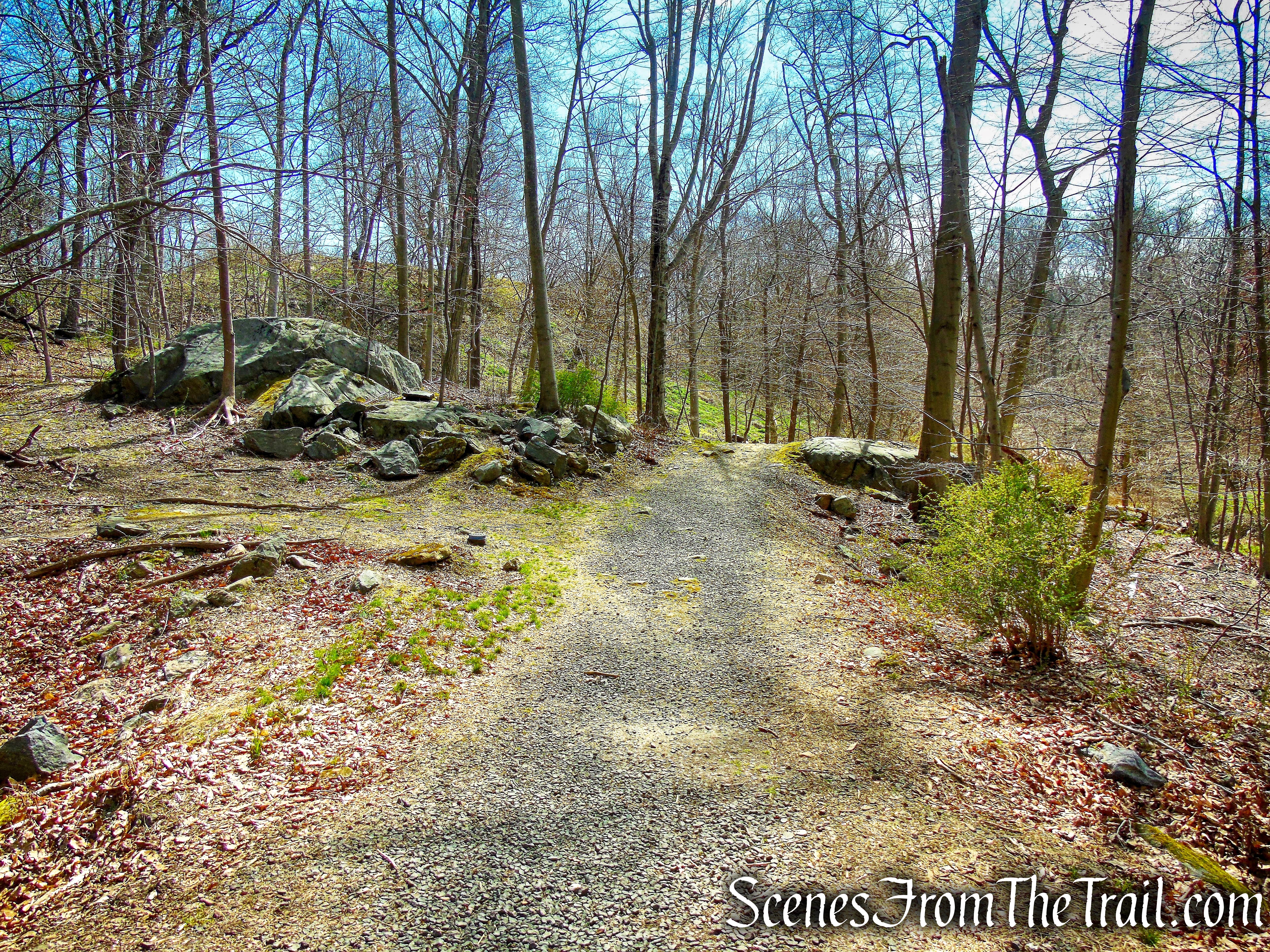 WL Trail - Irvington Woods