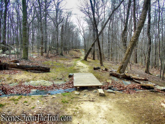 WL Trail - Irvington Woods