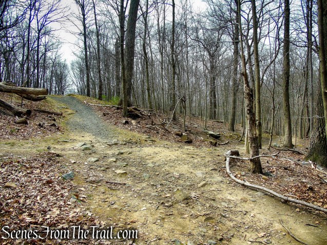 turn right on BB Trail