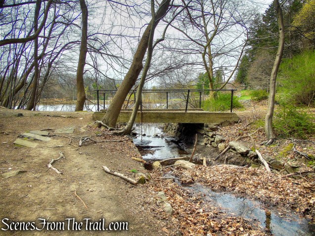 BB Trail - Irvington Woods