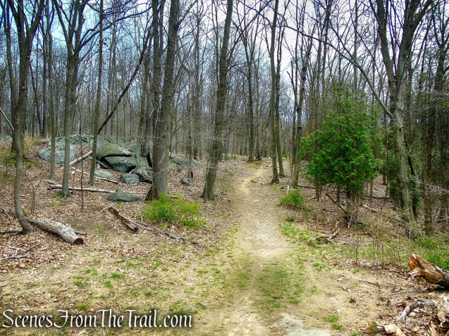 HG Trail - Irvington Woods