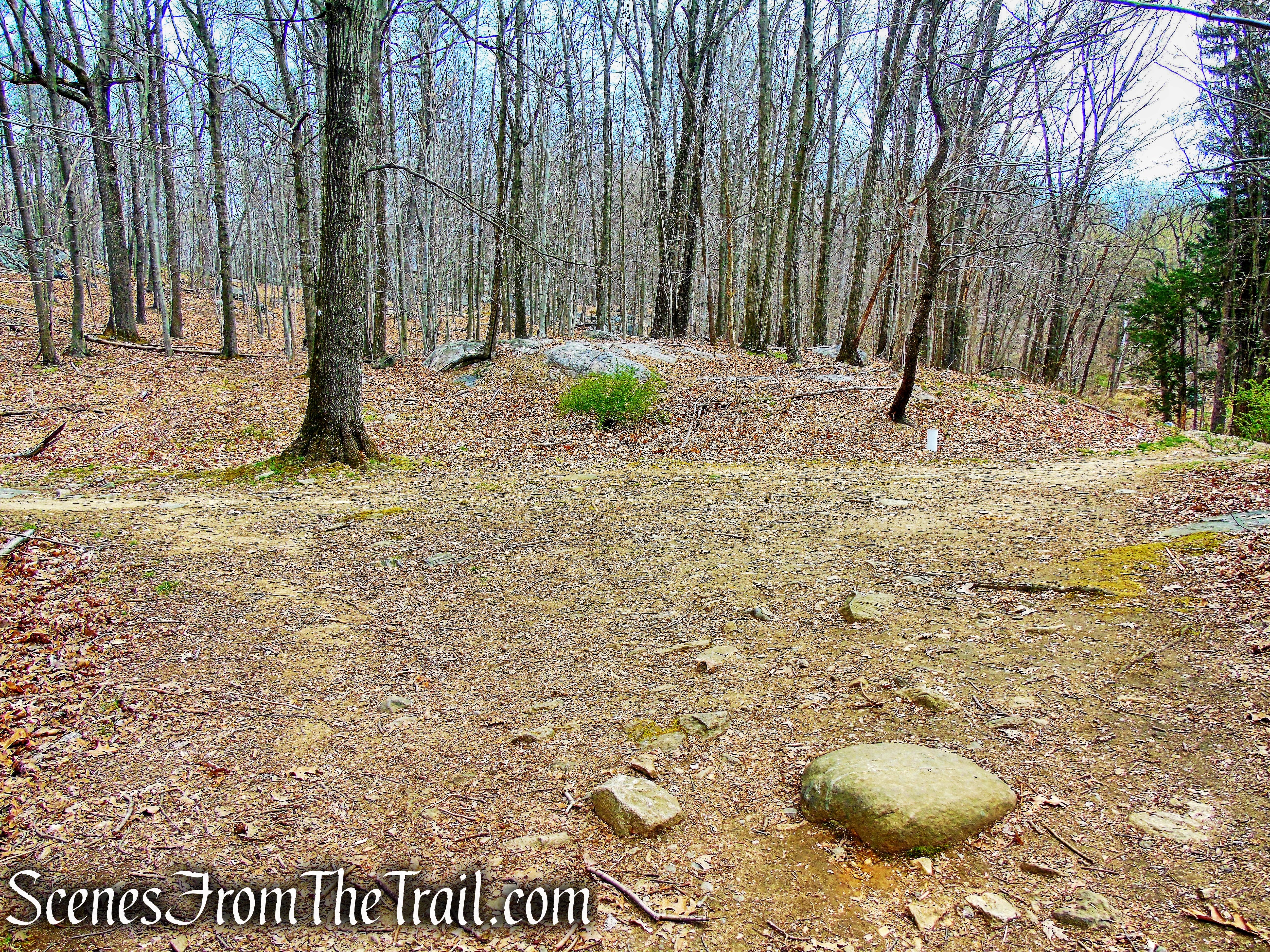 bear right at T-intersection