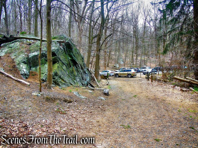 Cyrus Field Road Trailhead