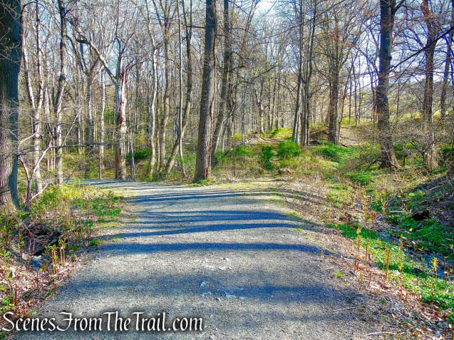 continue straight on Gory Brook Road
