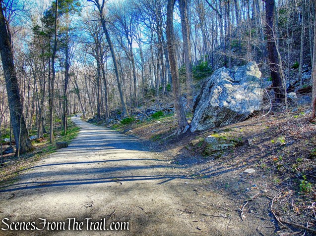 Gory Brook Road Trail