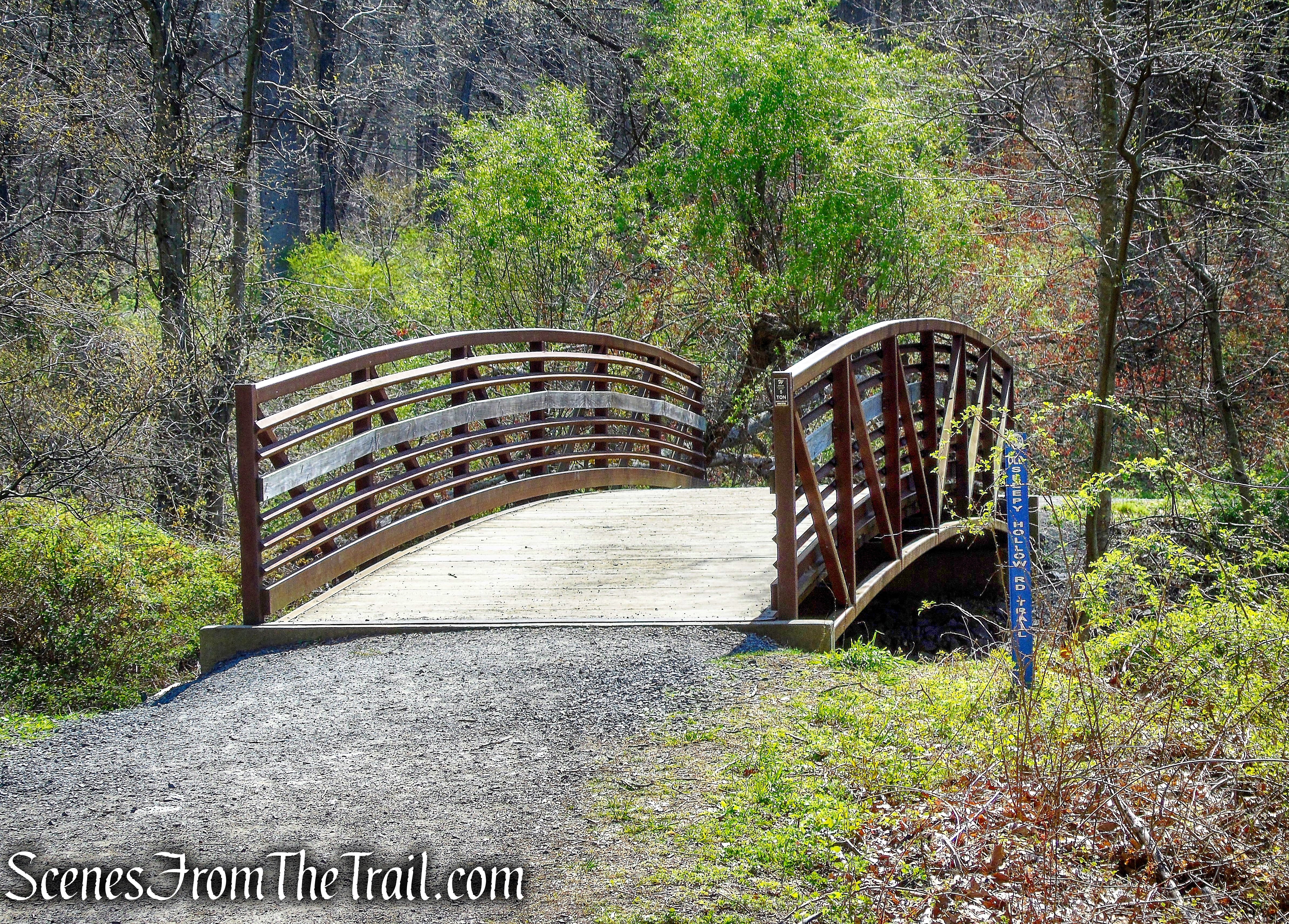 Old Sleepy Hollow Trail - Rockefeller State Park Preserve