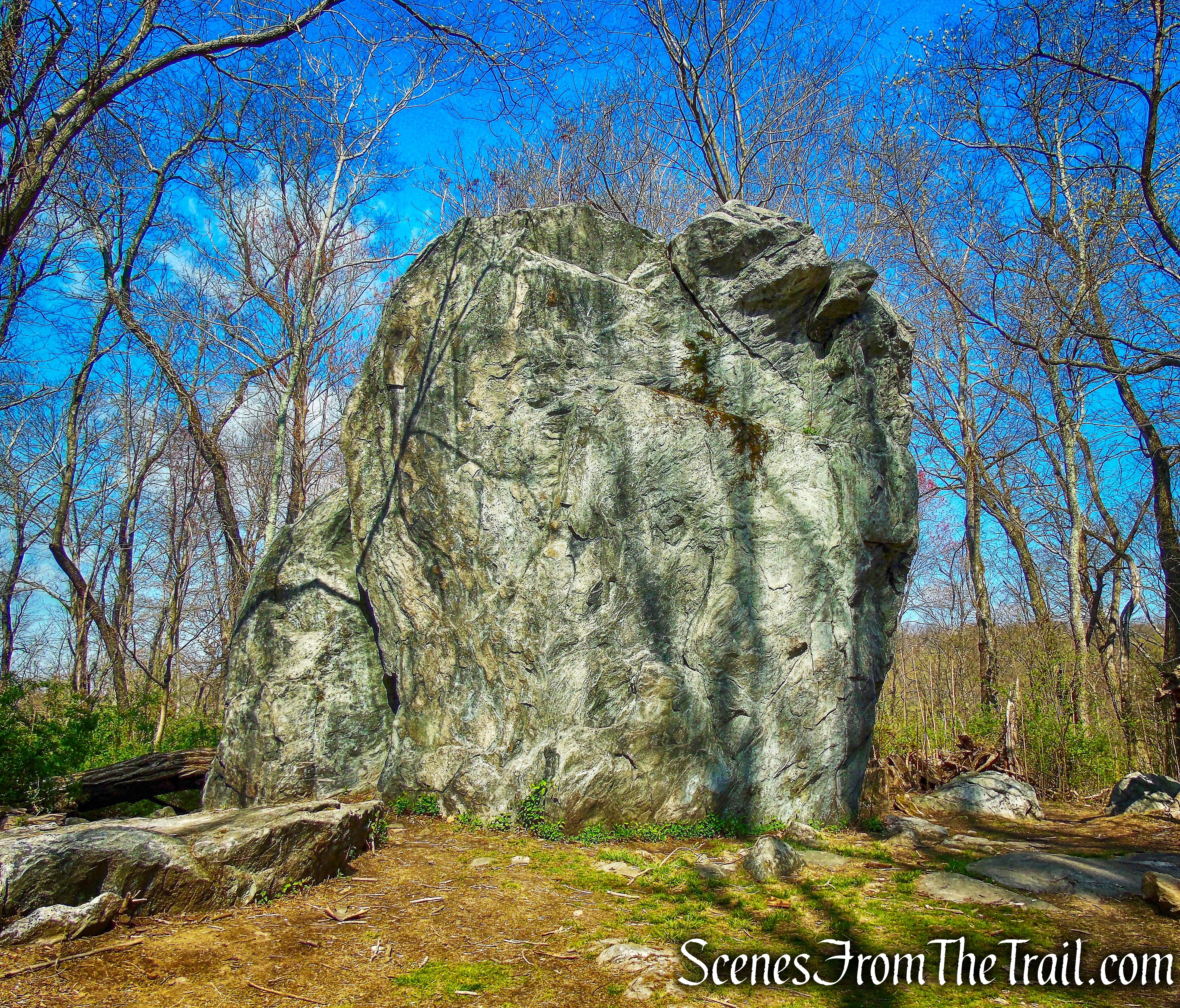 Glacial Erratic - Rockefeller State Park Preserve