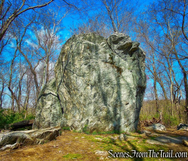 Glacial Erratic - Rockefeller State Park Preserve