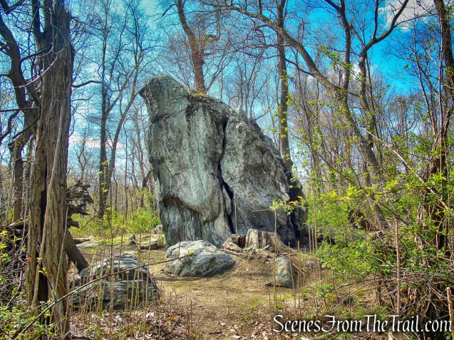 Glacial Erratic - Rockefeller State Park Preserve