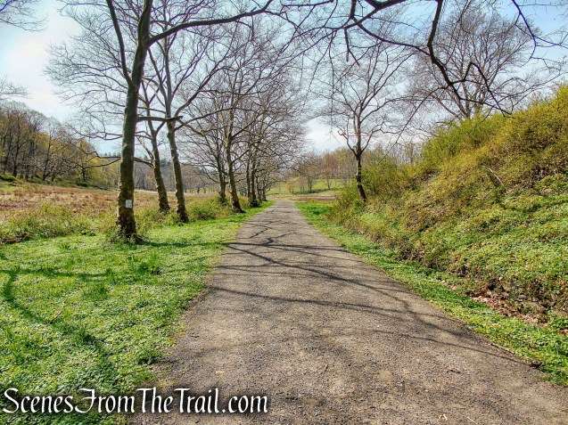 Canter Alley Trail - Rockefeller State Park Preserve