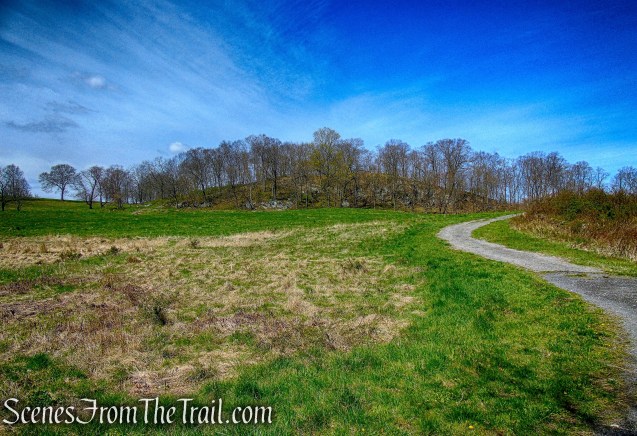 Canter Alley Trail - Rockefeller State Park Preserve