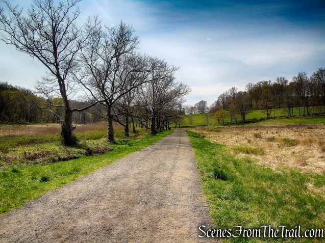 Canter Alley Trail - Rockefeller State Park Preserve