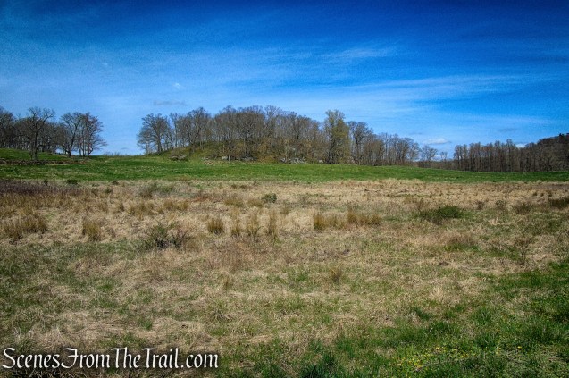 Canter Alley Trail - Rockefeller State Park Preserve