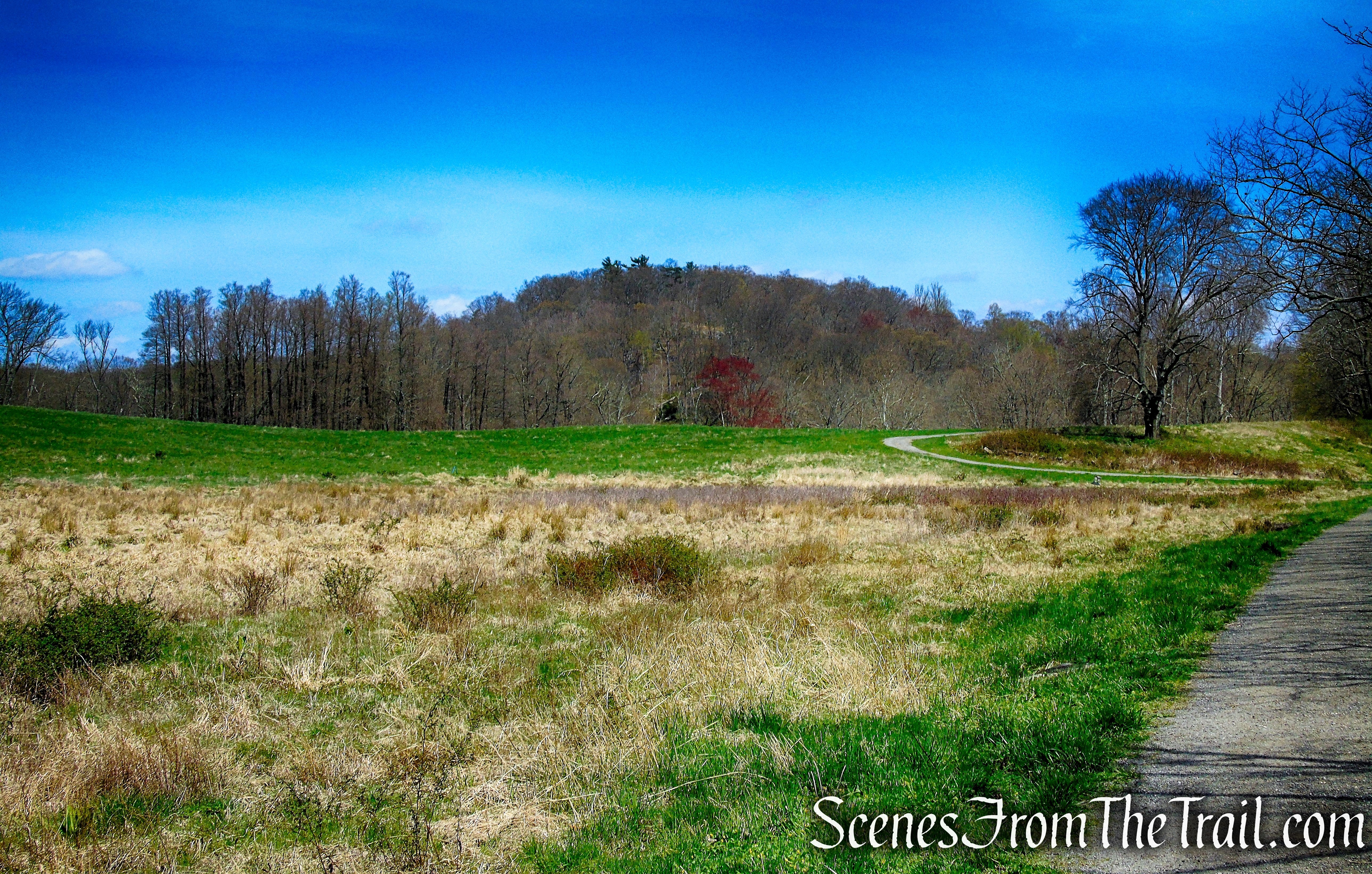 Canter Alley Trail - Rockefeller State Park Preserve