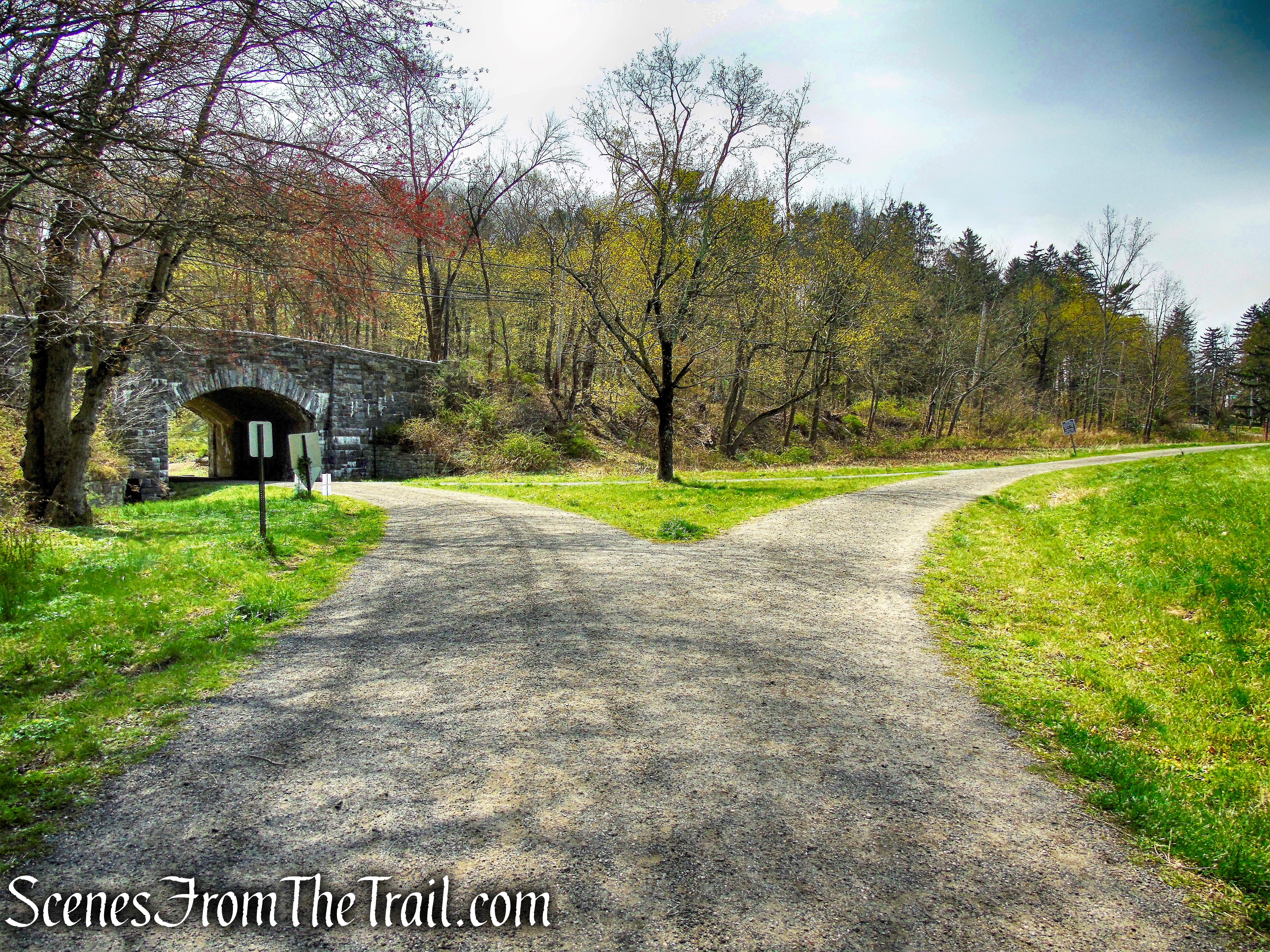Douglas Hill Loop Trail - Rockefeller State Park Preserve