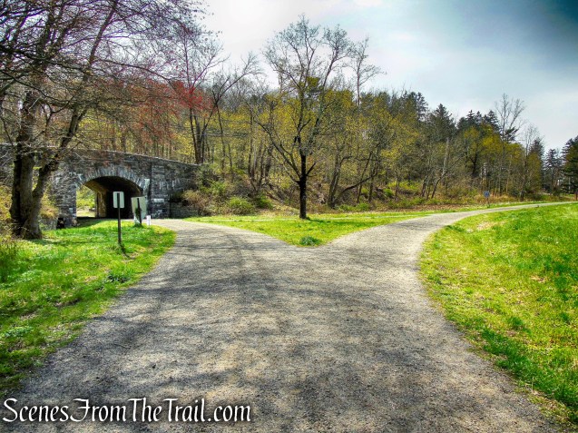 Douglas Hill Loop Trail - Rockefeller State Park Preserve