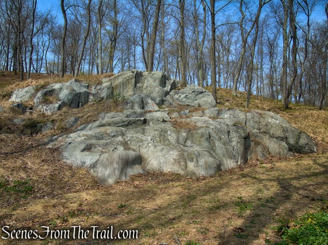Cedar Hill - Rockefeller State Park Preserve